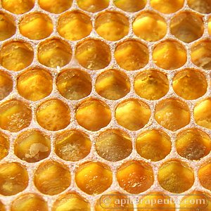 pan de abeja para apiterapia HD